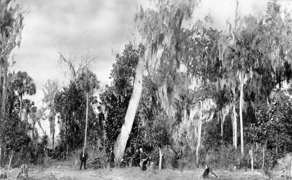 Group in wilderness - De Land, Florida