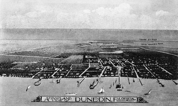 Aerial view - Dunedin, Florida
