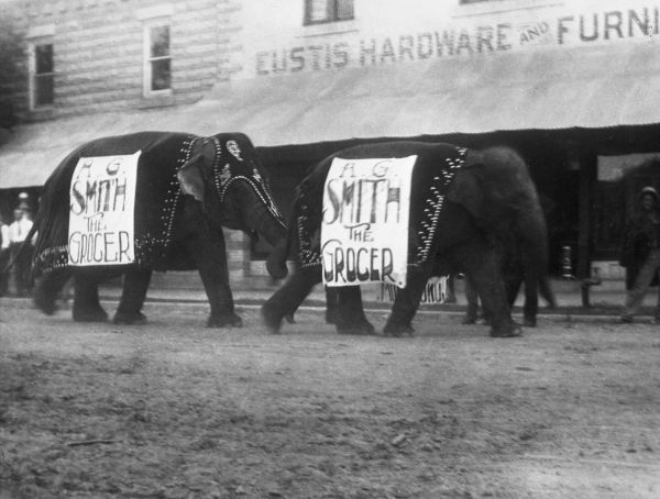 Elephants on parade for Washington's Birthday - Eustis, Florida