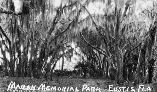 Marsh Memorial Park - Eustis, Florida
