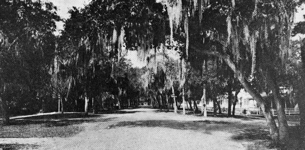 Ridgewood Avenue - Daytona Beach, Florida