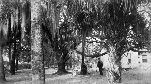 Hawkes Park