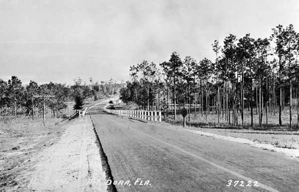 U.S. Highway 441 in Mt. Dora - Mount Dora, Florida.