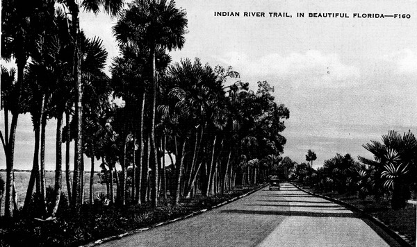 Indian River Trail - Indian River County, Florida