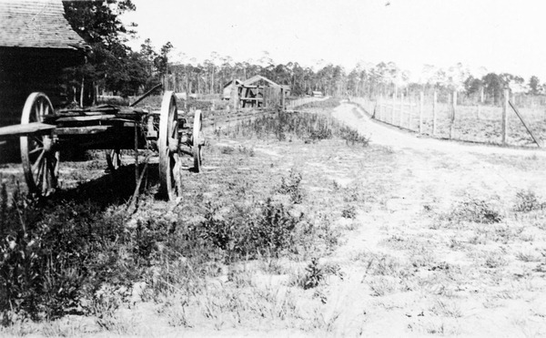 Rural road - Hernando County, Florida