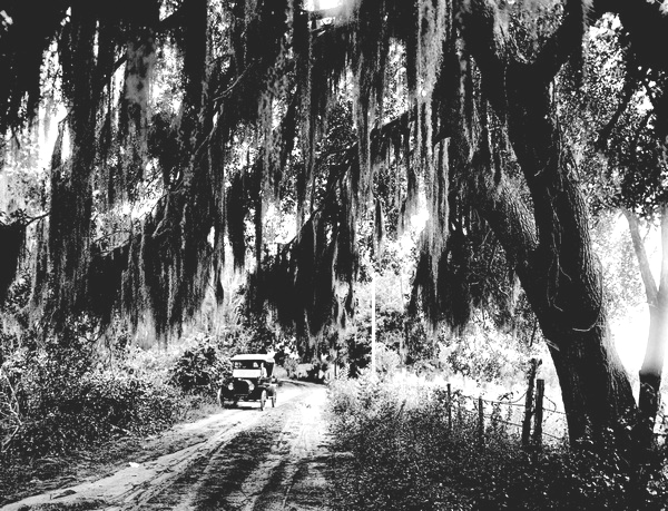 Car on rural road - Hillsborough County, Florida