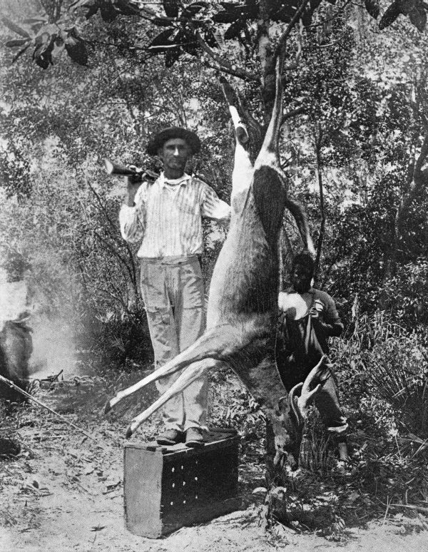 Buck killed in Jefferson County - Florida