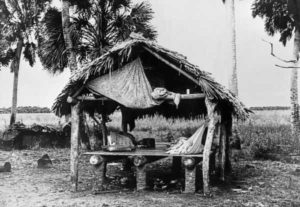 Seminole living platform made of palm logs Florida