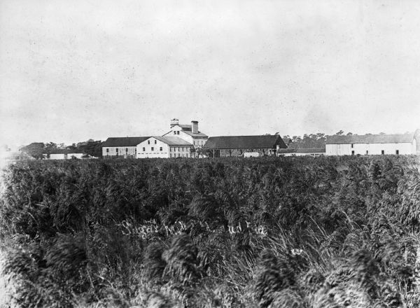 Sugar mill at Saint Cloud, Florida.