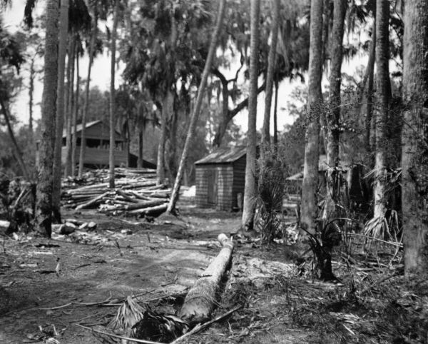 R.T. King's sawmill