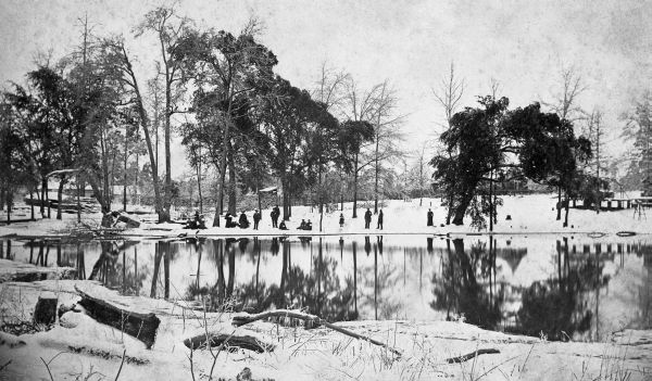 Snow around lake - Jackson County, Florida