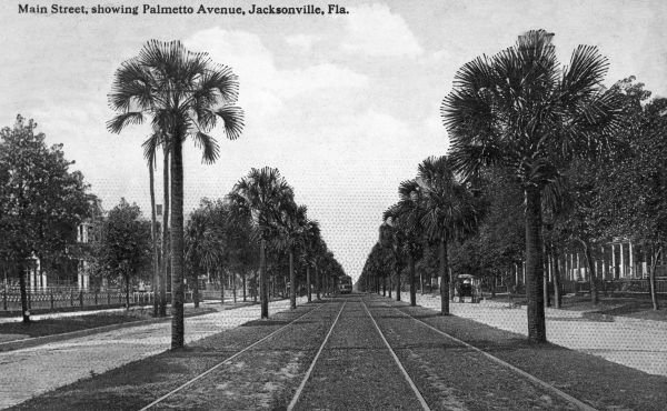 Main Street showing Palmetto Avenue ;Jacksonville, Florida