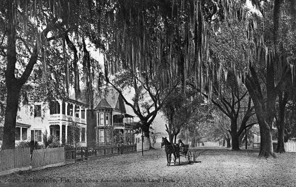 Saint Johns Avenue near Dixie Land Park - Jacksonville, Fla..