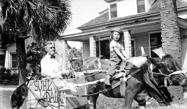 Boy riding ox as it pulls man in cart - Kissimmee, Florida