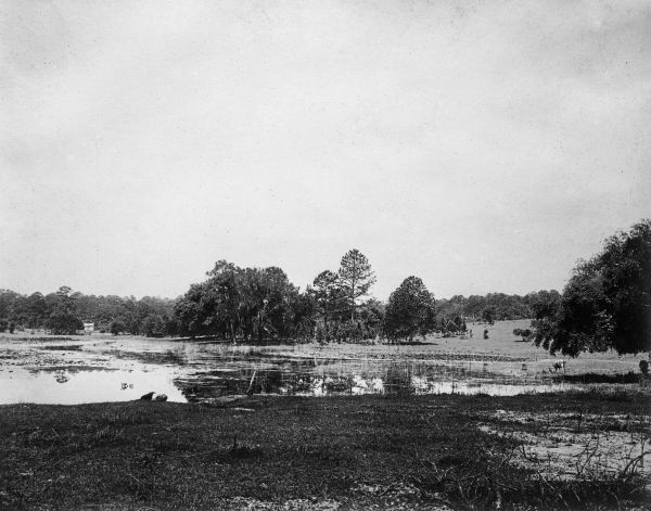 Lake near Tallahassee, Florida