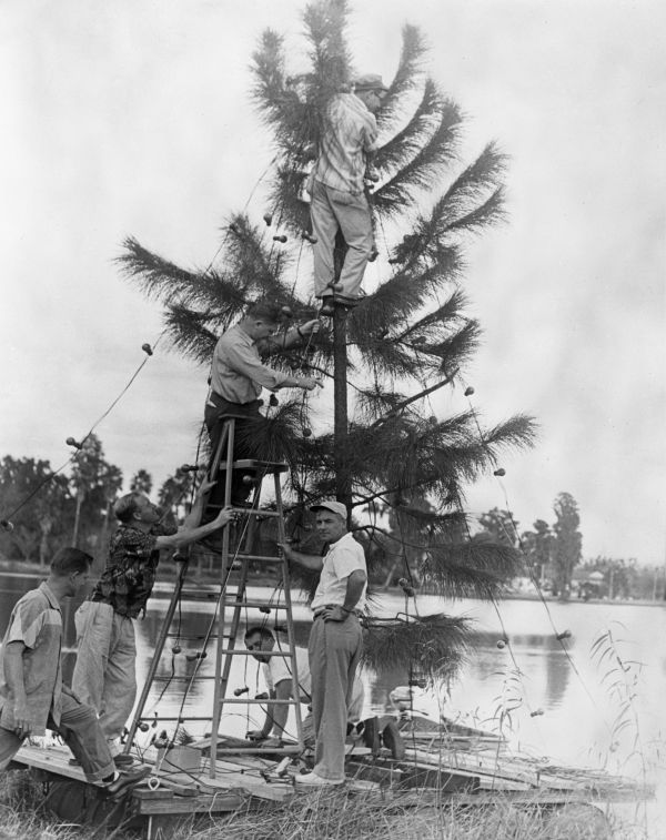 Preparing Jaycees Christmas tree