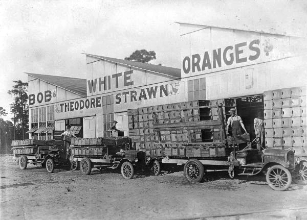 Theodore Strawn's packing house for Bob White oranges - De Leon Springs, Florida