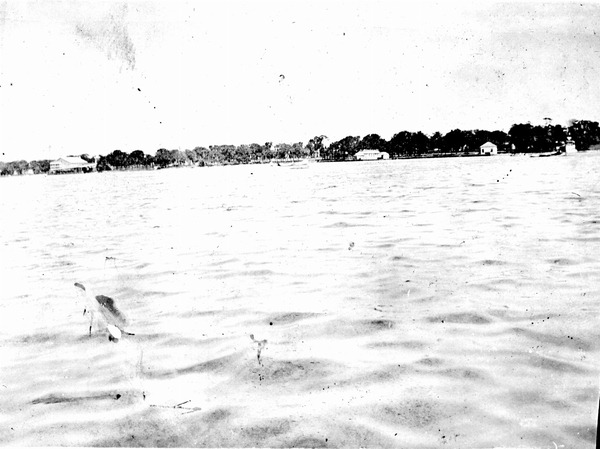 View of the coast from the water