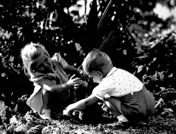 Martha and David Morris planting - Miami, Florida