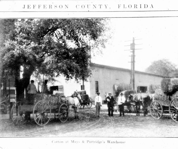 Cotton in front of Mays and Partridge warehouse