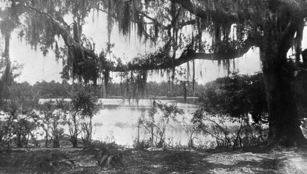 View of Orchard Pond from the Boy Scout camp