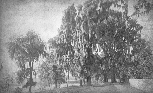 River Street at Wilson's Cove - Palatka