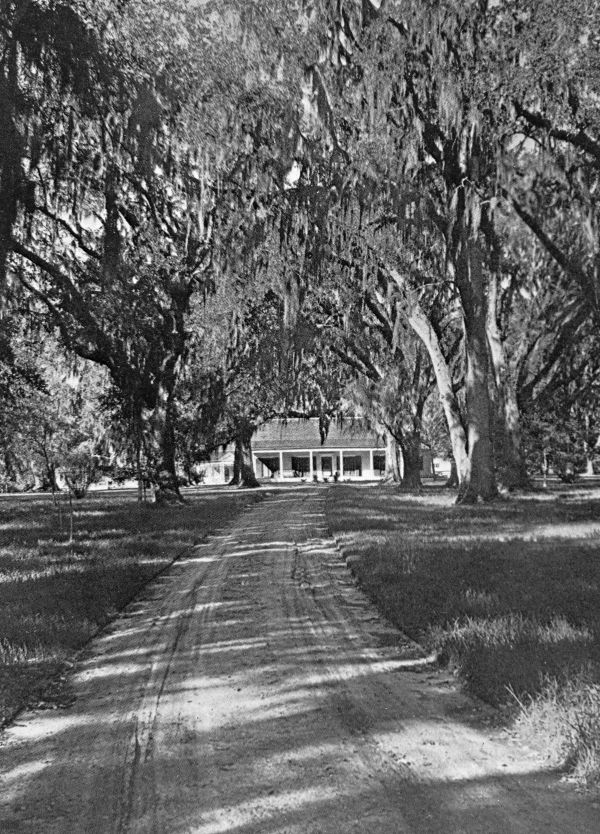 Waverly Plantation