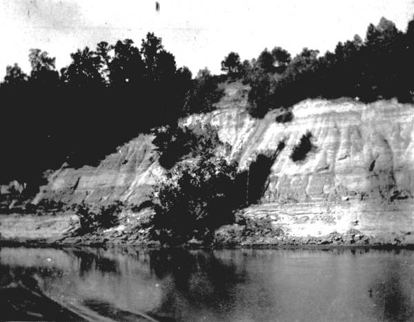 View of bluff - Apalachicola River, Florida