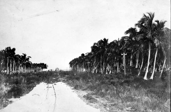 View south towards the viaduct - Long Key, Florida
