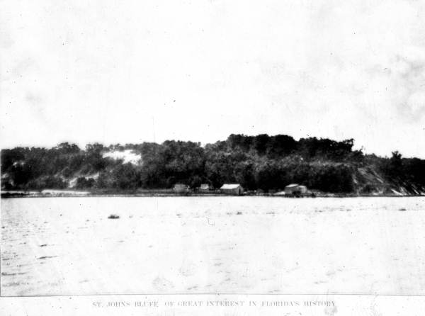 St. Johns Bluff St. Johns Bluff