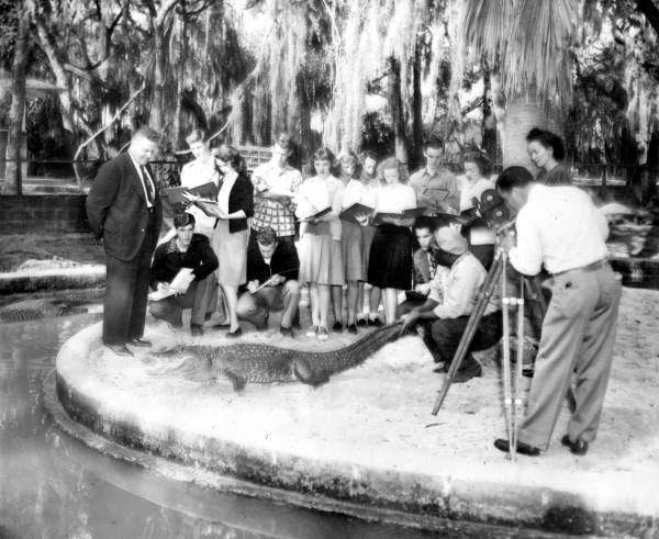 St. Augustine Alligator Farm