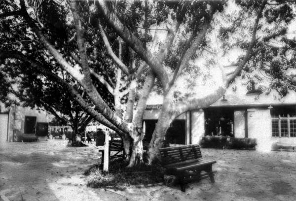 Entrance to the Mirror Lake Shuffleboard Club - Saint Petersburg, Florida.