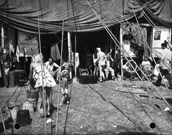 Filming "The Greatest Show on Earth" - Sarasota, Florida