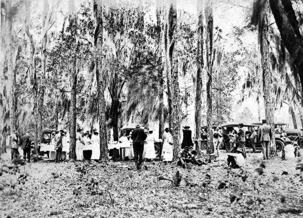 Picnic at Carnation Lake - Sebring, Florida