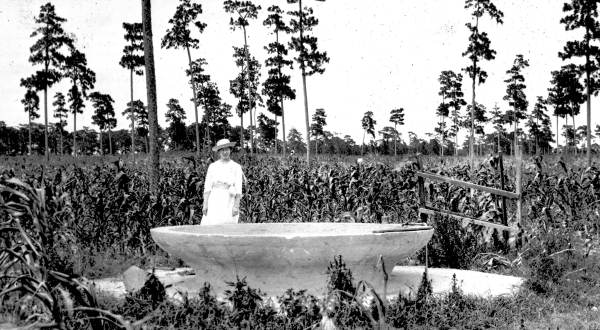 Water trough on lot 38 - De Leon Springs, Florida