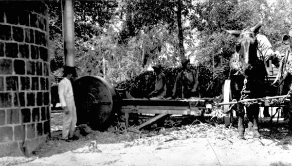 Filling the silo - De Leon Springs, Florida