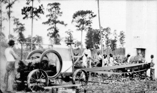 Filling the silo, lot 38 - De Leon Springs, Florida
