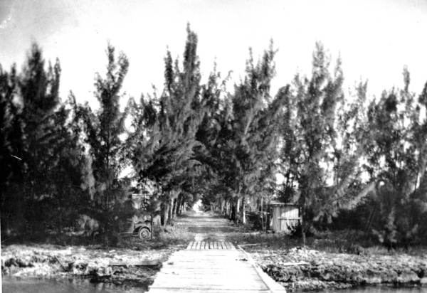 Site of Jimmie Albright's home after the hurricane - Islamorada, Florida