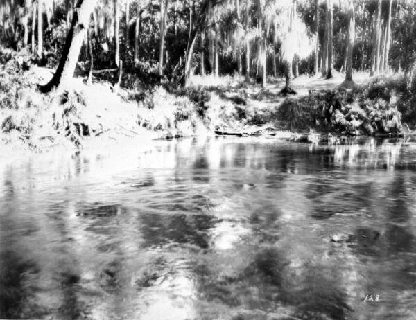 View of the spring - Blue Springs, Florida