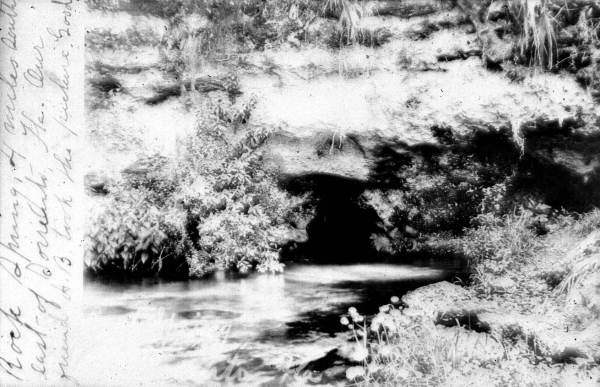 Rock Springs, Florida.