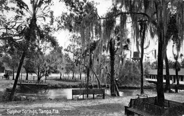 Sulphur Springs - Tampa, Florida