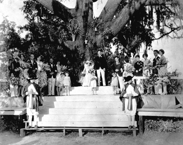 Under the May Oak - Tallahassee, Florida.