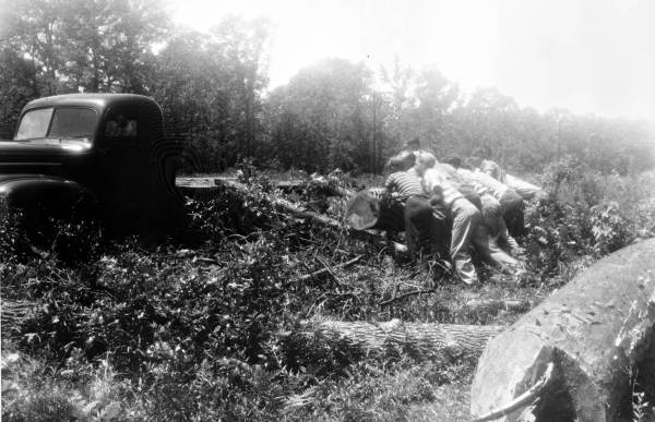 Boys loading logs onto truck at Forestry Training camp