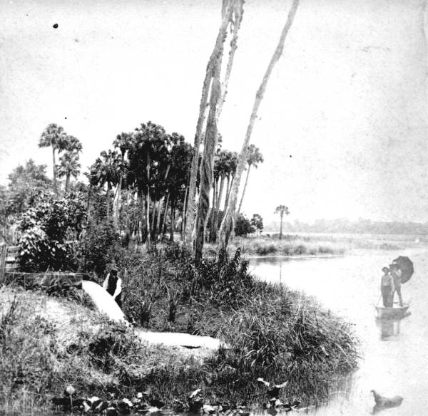 Stereoview of people at Gemini Springs - Enterprise, Florida