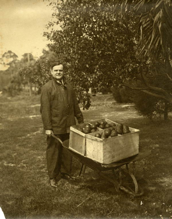 Governor John Martin with apples in a wheelbarrow