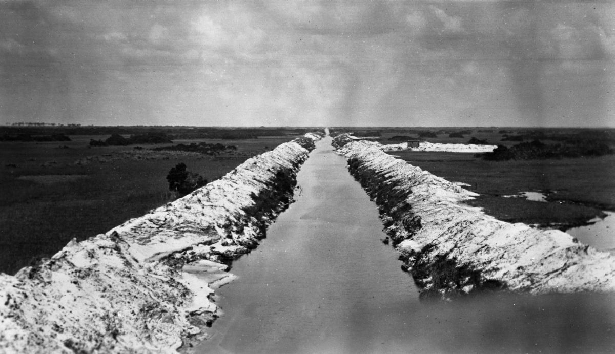 Muck soil along an Everglades drainage canal west of Fort Lauderdale