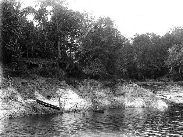 Lake Miccosukee - Florida