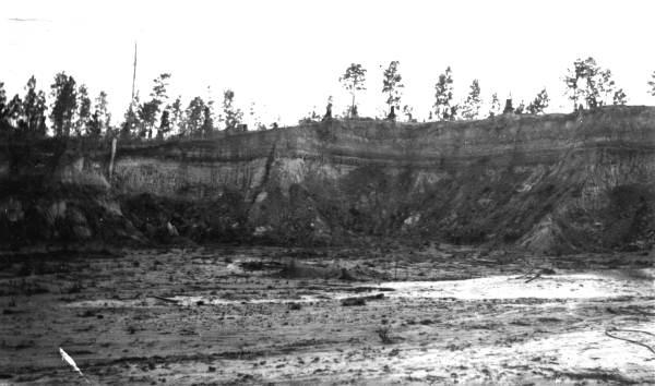 Clay pit of McMillan Brick Company - Molino, Escambia County, Florida