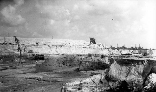 View in pit of the Pierce Phosphate Company - Pierce, Florida