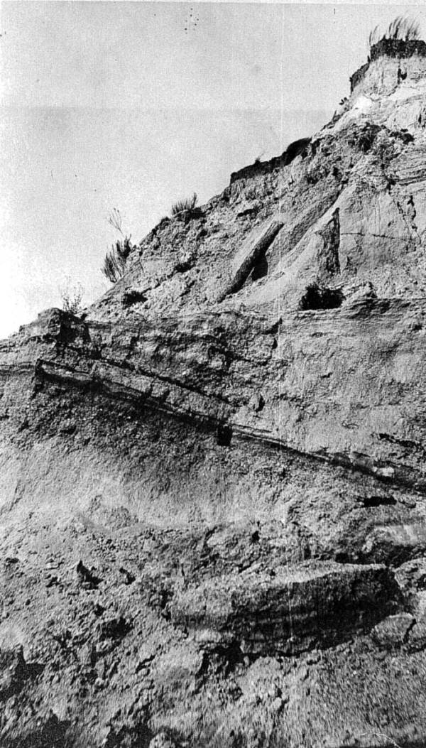 View of pit of Amalgamated Phosphate Company showing dip